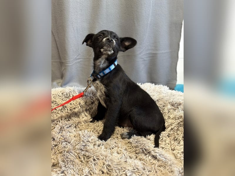 Gibst du Gerta eine Chance?