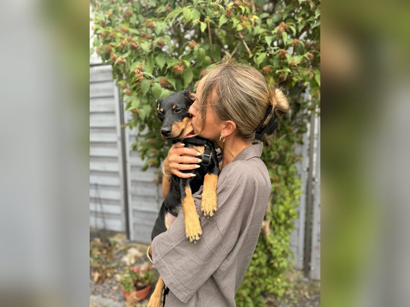 Cola -  kleine Schmusemaus sucht ihr Für-immer-Zuhause ❤️