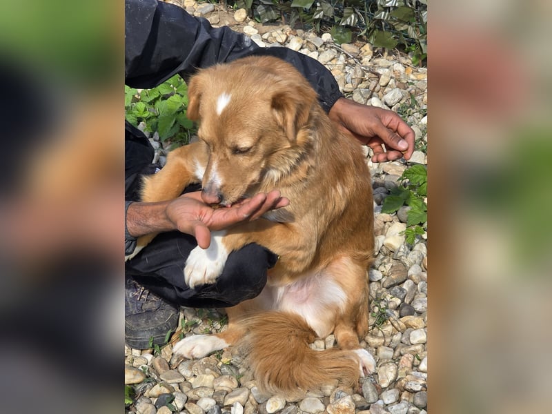 NICE - bildhübscher Kerl sucht Anschluss