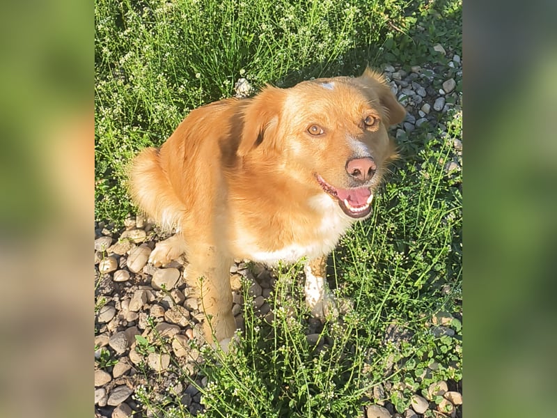 NICE - bildhübscher Kerl sucht Anschluss