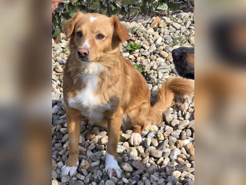 NICE - bildhübscher Kerl sucht Anschluss