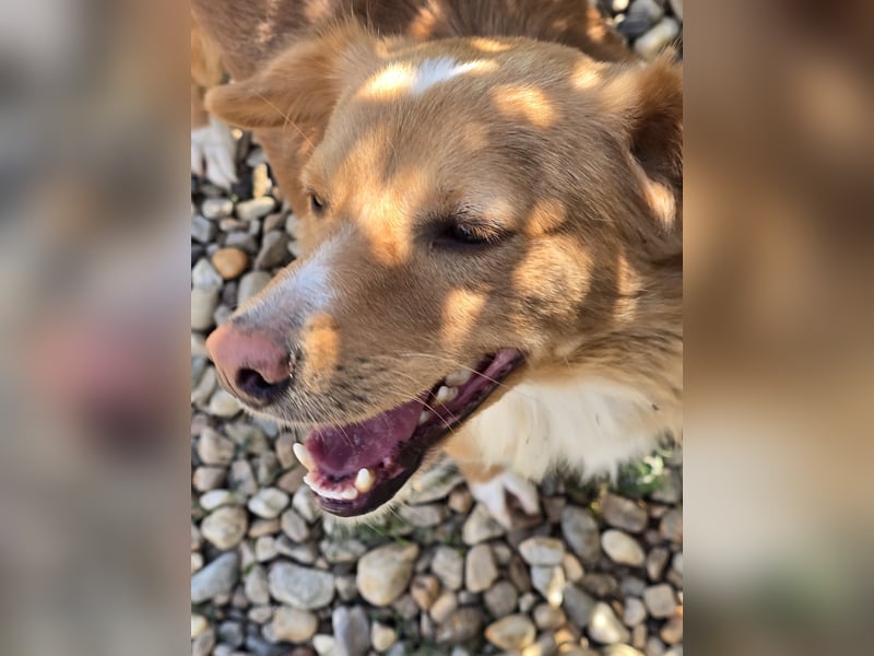 NICE - bildhübscher Kerl sucht Anschluss