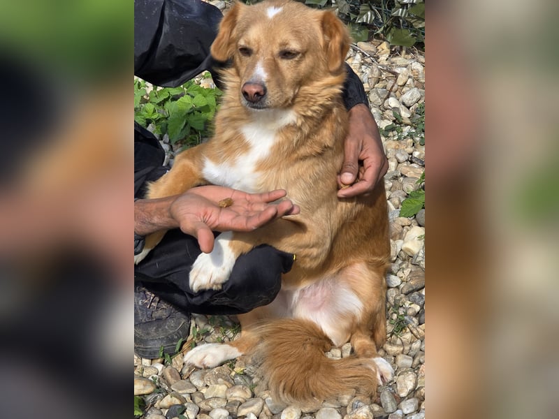 NICE - bildhübscher Kerl sucht Anschluss