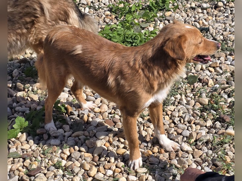 NICE - bildhübscher Kerl sucht Anschluss