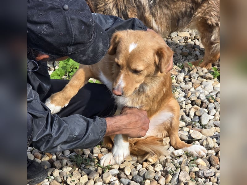 NICE - bildhübscher Kerl sucht Anschluss
