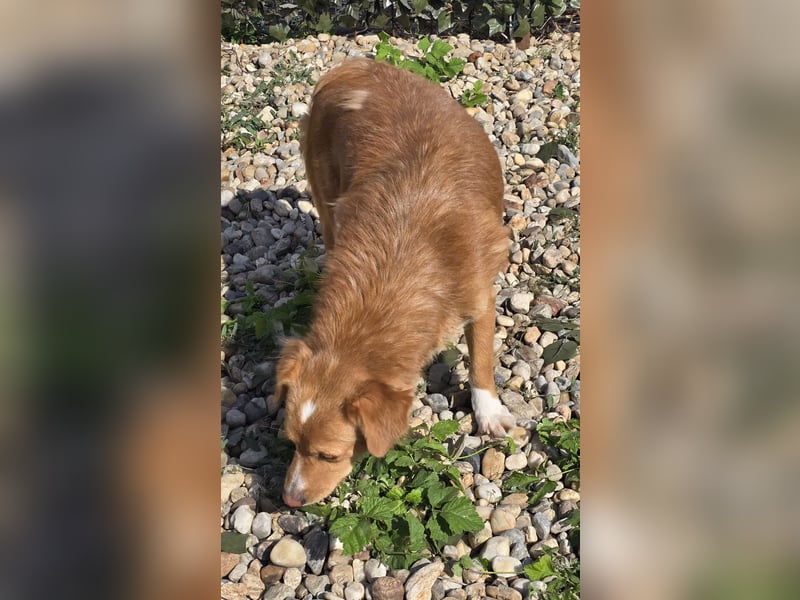 NICE - bildhübscher Kerl sucht Anschluss