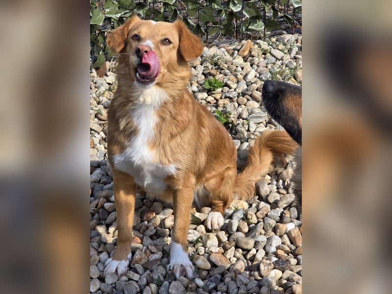 NICE - bildhübscher Kerl sucht Anschluss