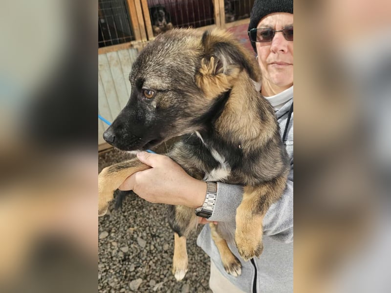 KALIMERO sucht Familienanschlusd