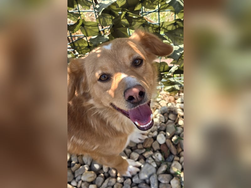 NICE - bildhübscher Kerl sucht Anschluss