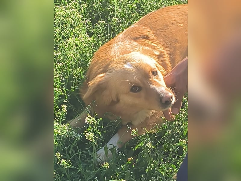 NICE - bildhübscher Kerl sucht Anschluss