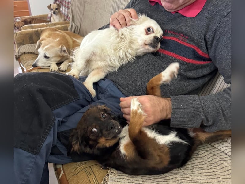 Aria - sucht ihre Menschen