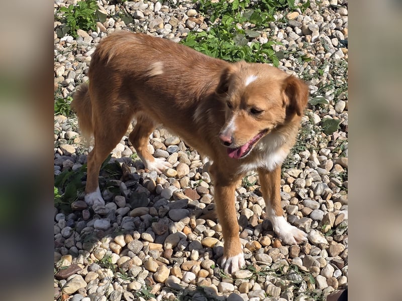 NICE - bildhübscher Kerl sucht Anschluss