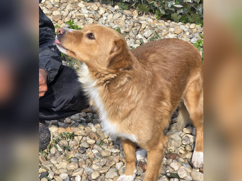 NICE - bildhübscher Kerl sucht Anschluss