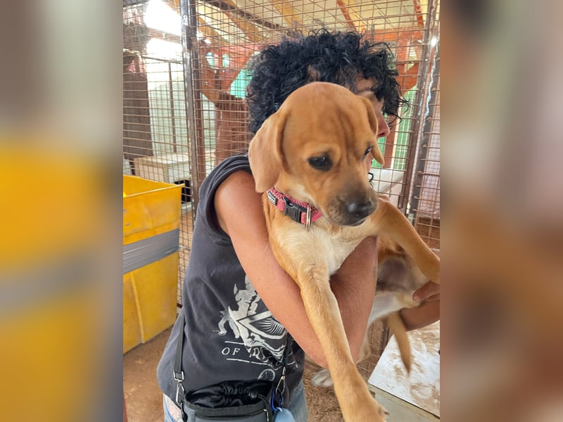 Elias hofft schnell auf ein schönes zuhause