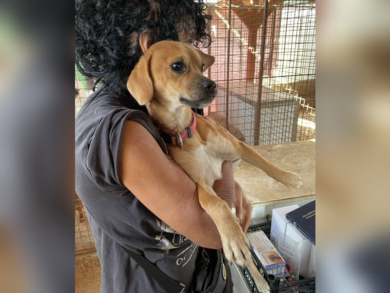 Elias hofft schnell auf ein schönes zuhause