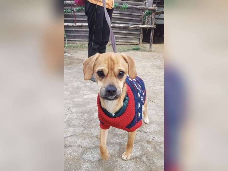 Elias hofft schnell auf ein schönes zuhause