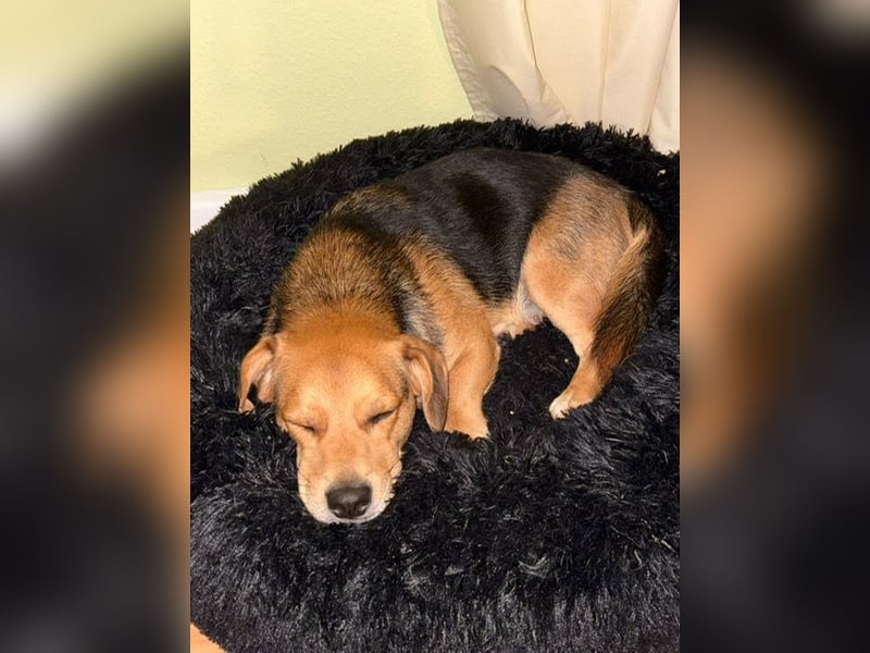 Sam verliert unverschuldet sein Zuhause