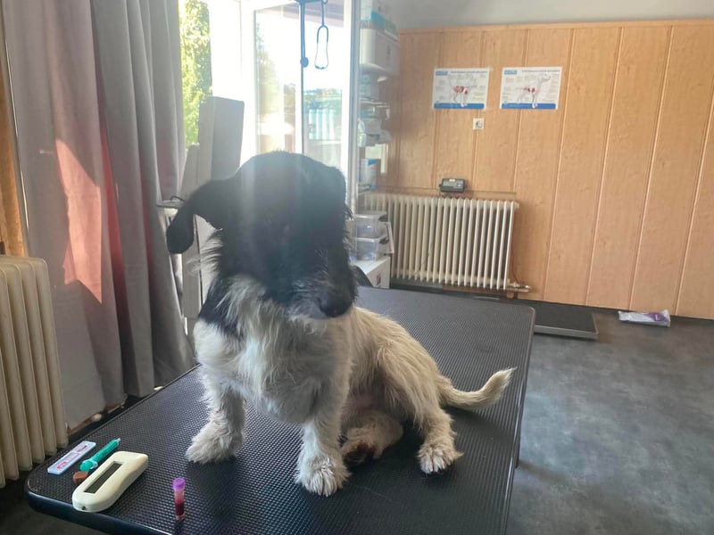 Post, kleiner Strahlemann verbreitet gute Laune