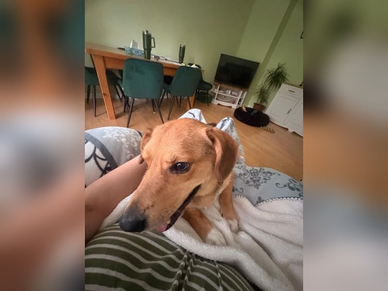 Sam verliert unverschuldet sein Zuhause