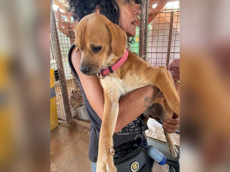 Elias hofft schnell auf ein schönes zuhause