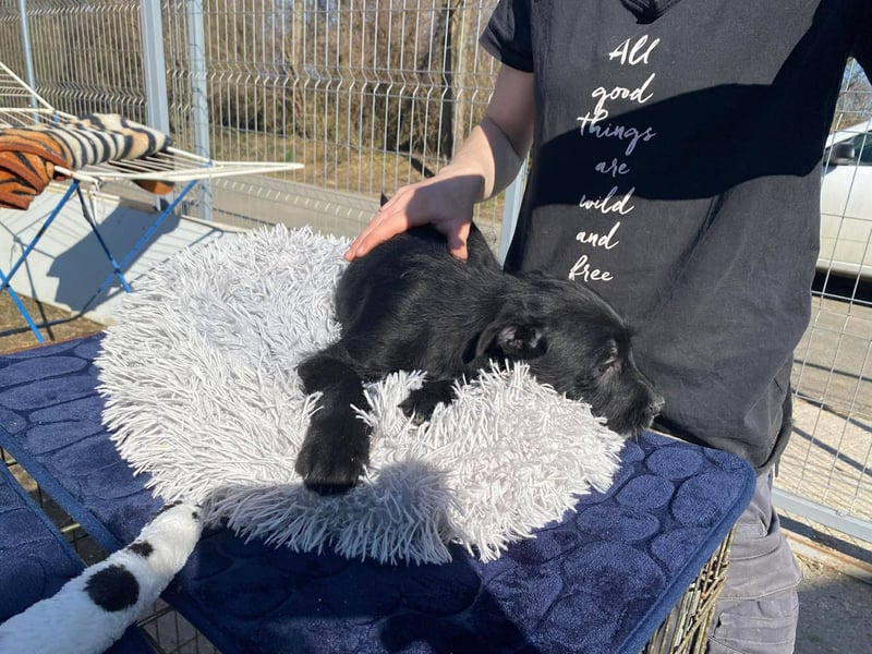 Holly, unbedarft und zuckersüß