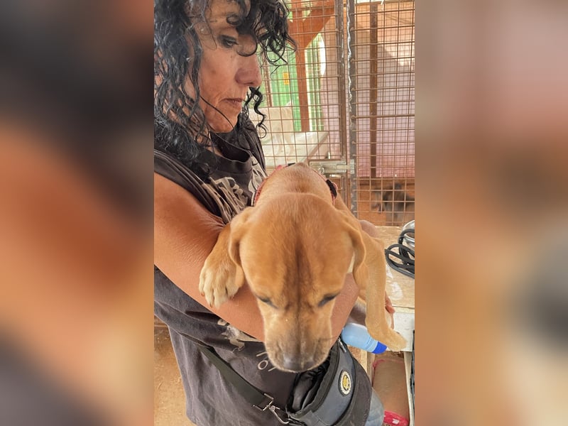 Elias hofft schnell auf ein schönes zuhause