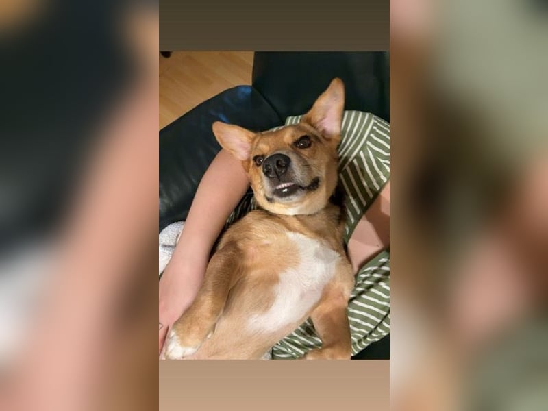 Sam verliert unverschuldet sein Zuhause