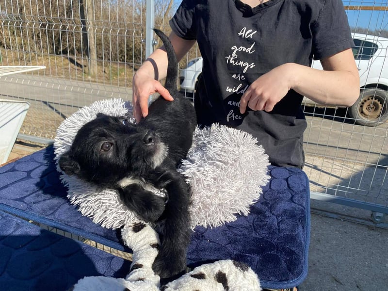 Holly, unbedarft und zuckersüß