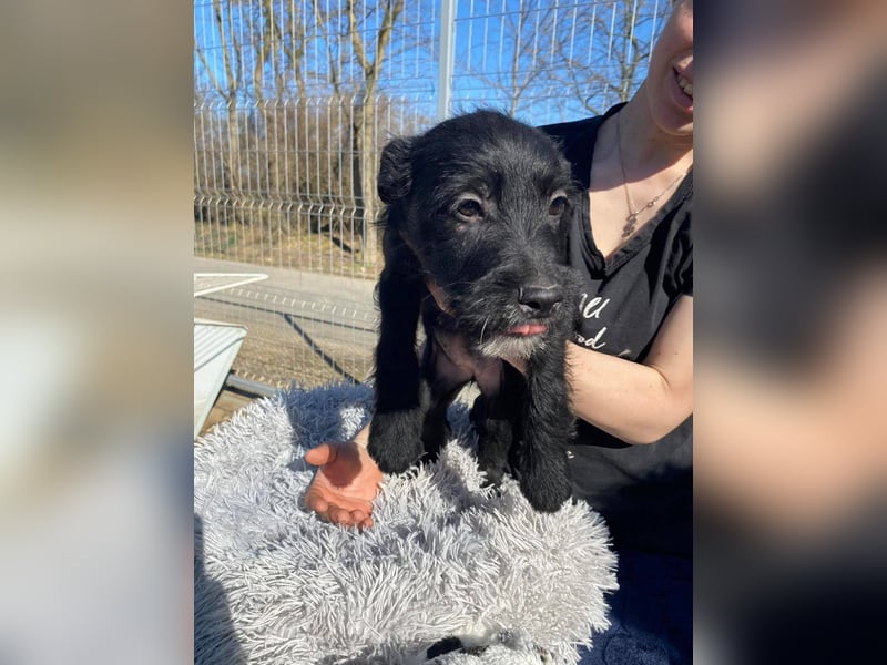 Holly, unbedarft und zuckersüß