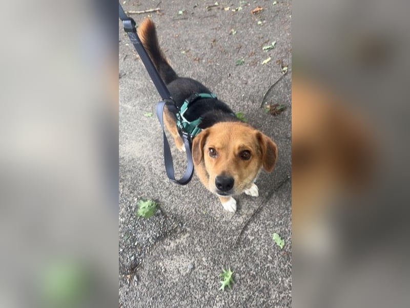 Sam verliert unverschuldet sein Zuhause