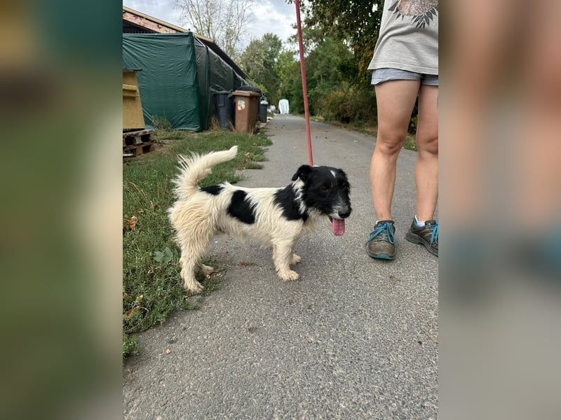 Post, kleiner Strahlemann verbreitet gute Laune