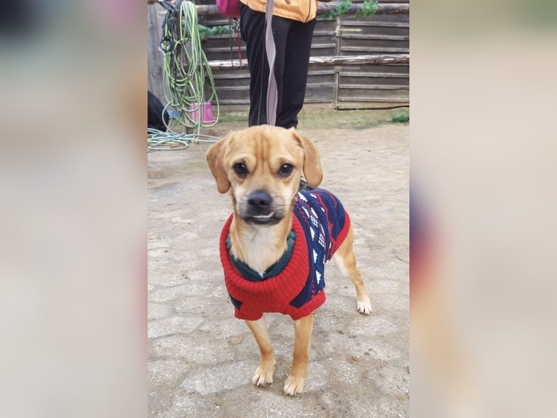 Elias hofft schnell auf ein schönes zuhause