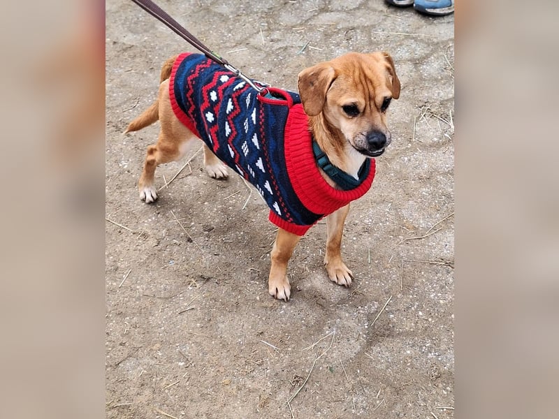 Elias hofft schnell auf ein schönes zuhause