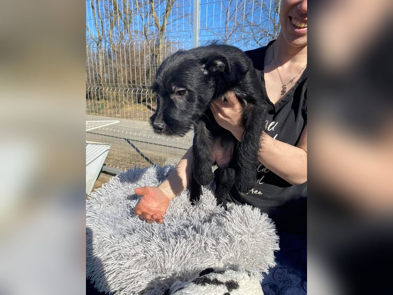 Holly, unbedarft und zuckersüß