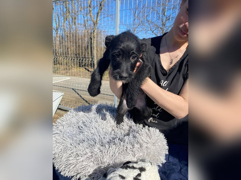 Holly, unbedarft und zuckersüß