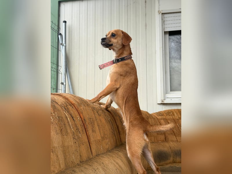 Elias hofft schnell auf ein schönes zuhause