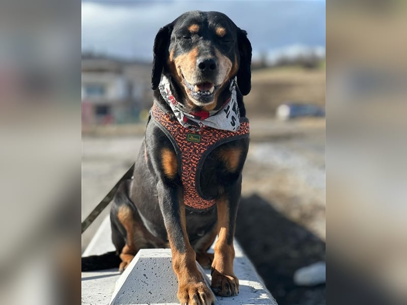 Omi VESI (*2014) sucht die Liebe