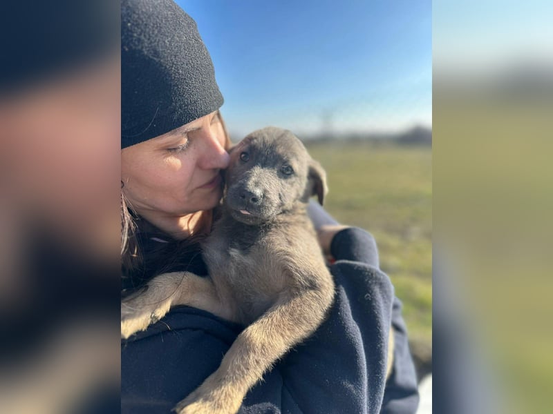 Xerox, süßer geht fast nicht