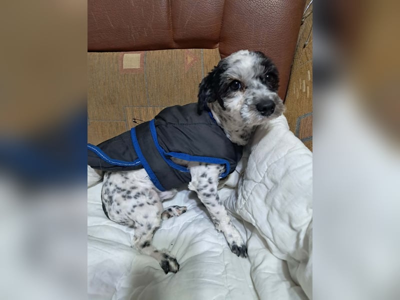 Henry, seid Ihr bereit für mich