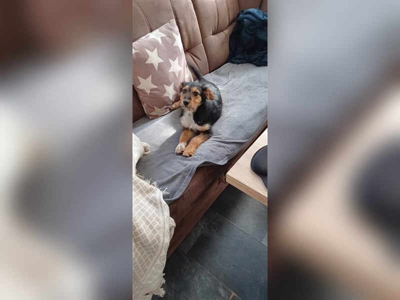 MOJCA ❤  wartet in 30449 Hannover auf Dich