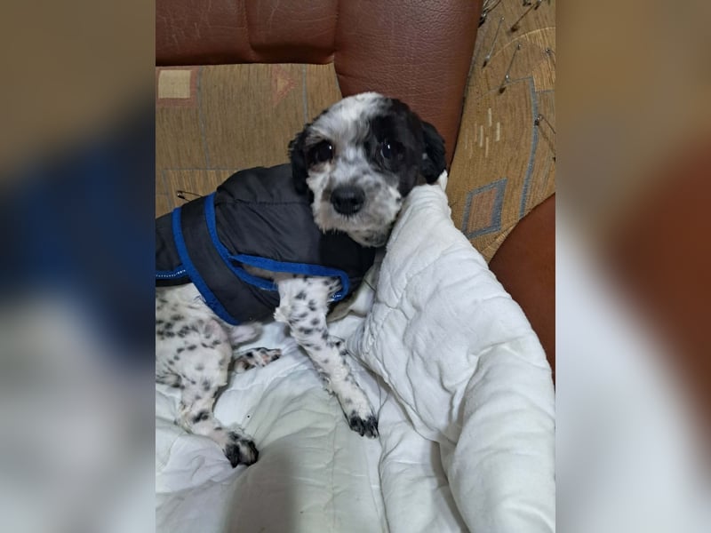 Henry, seid Ihr bereit für mich