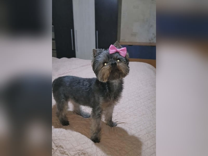 NOLY ❤ sucht Zuhause
