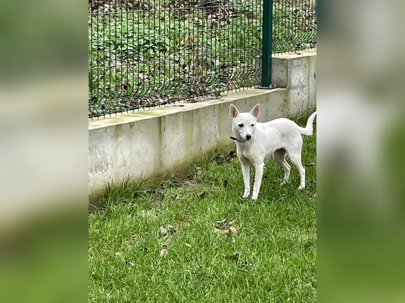 Suri - bereit für neue Abenteuer!