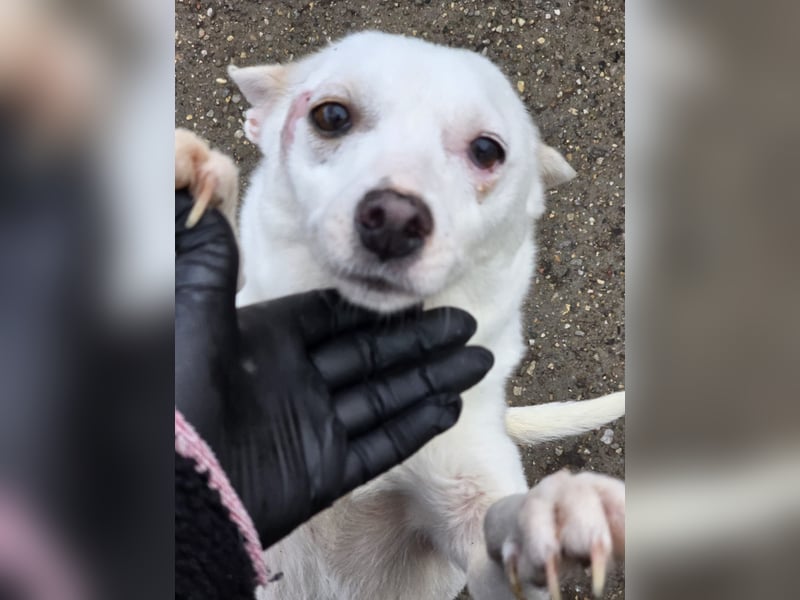 Suri - bereit für neue Abenteuer!