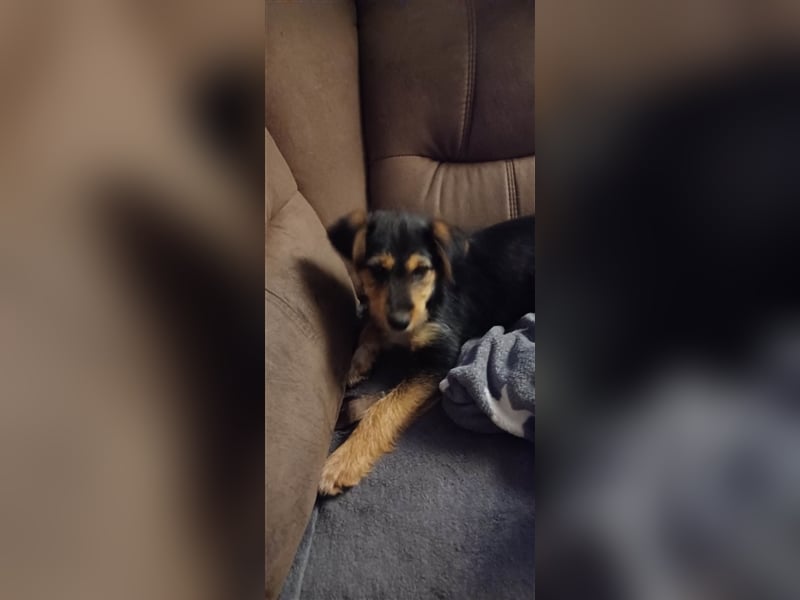 MOJCA ❤  wartet in 30449 Hannover auf Dich