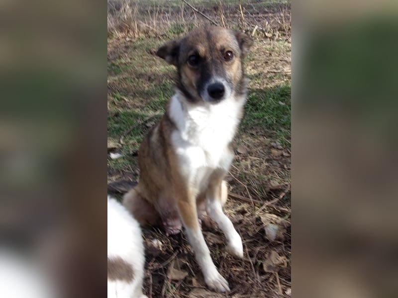 XOWIE ❤  wartet in 56379 Singhofen auf DICH