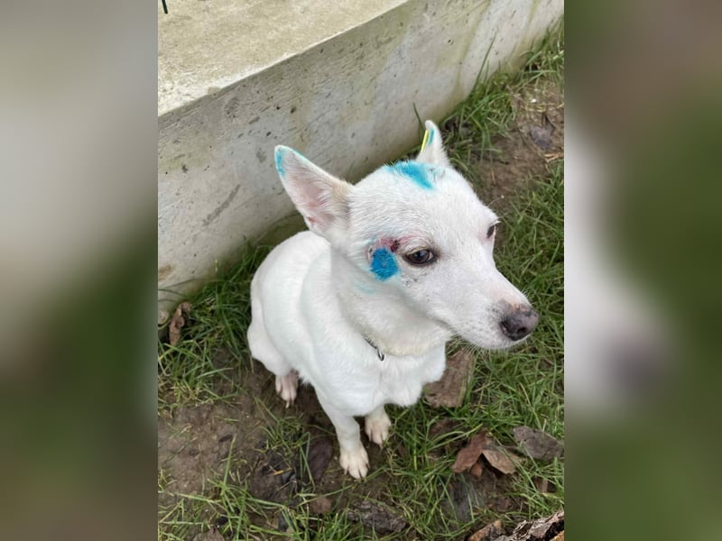 Suri - bereit für neue Abenteuer!