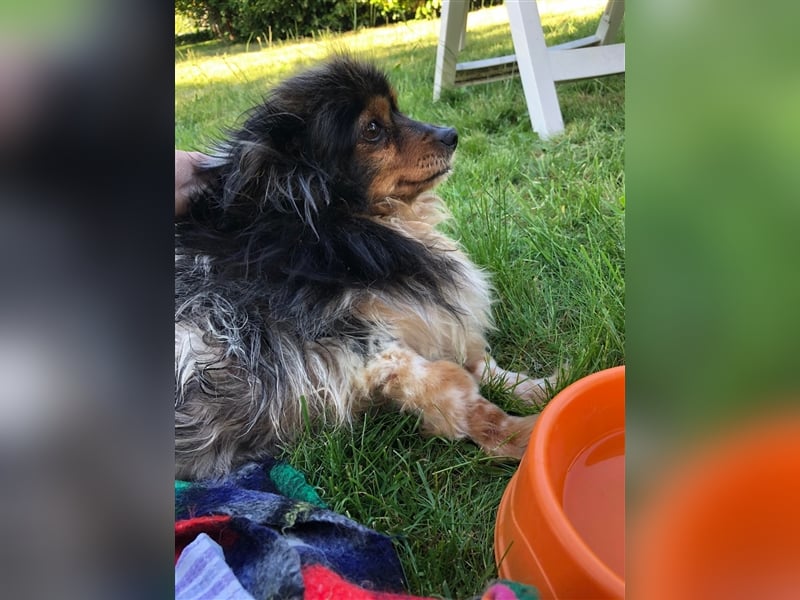 REA wartet in 30855 Langenhagen auf Dich