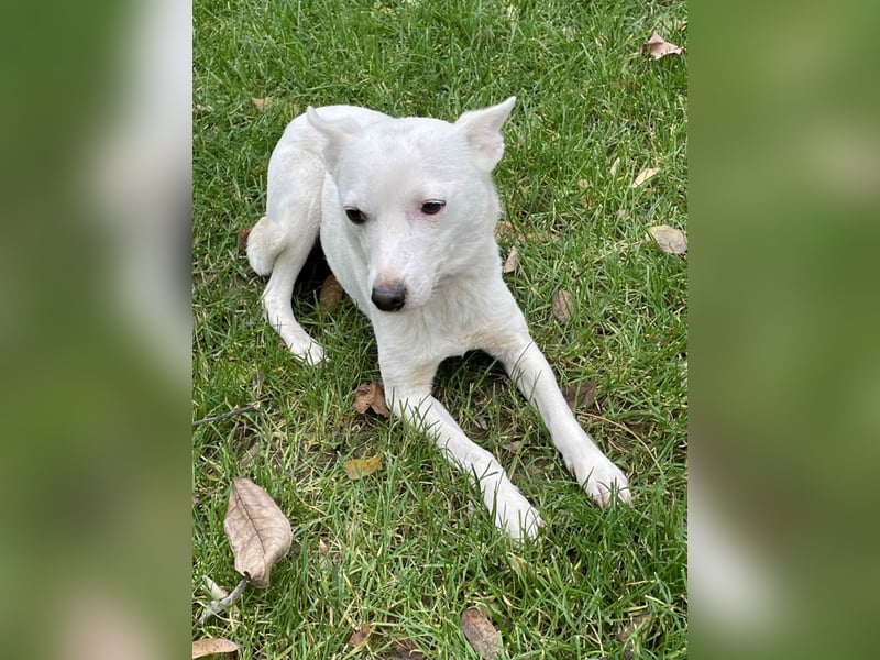 Suri - bereit für neue Abenteuer!