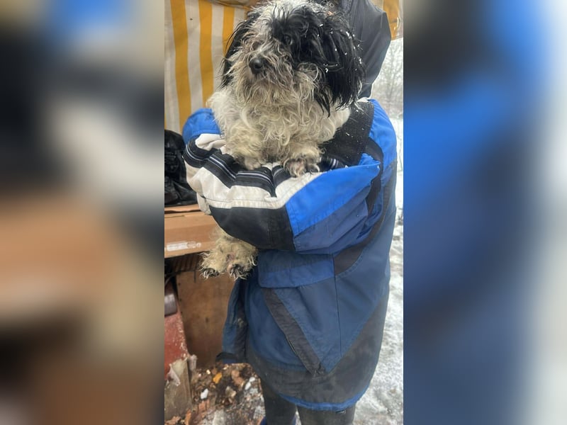 Henry, seid Ihr bereit für mich